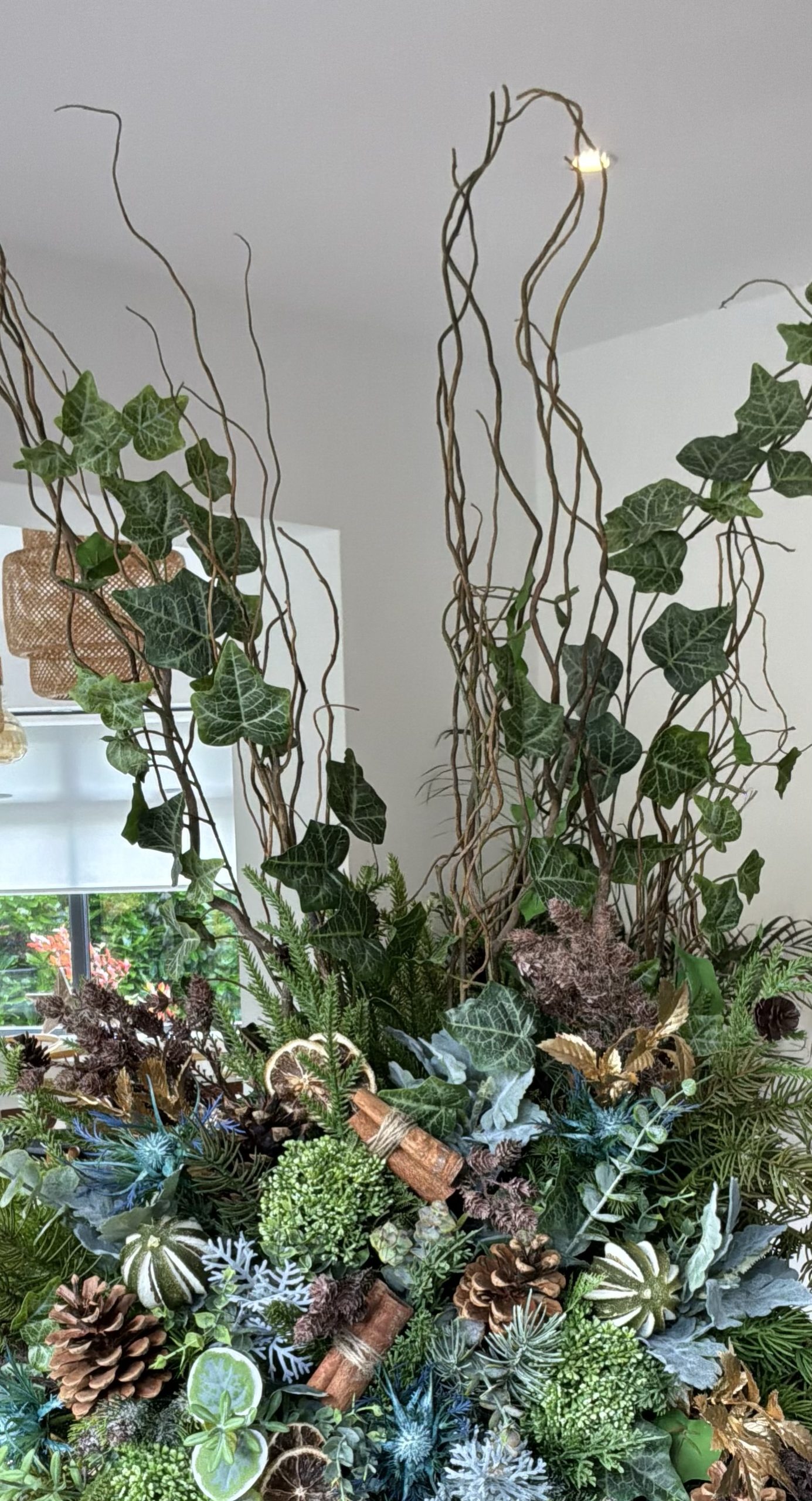 Natures Gift: Asymmetrical Display - Image 2